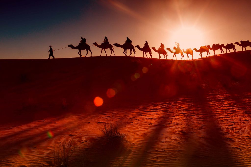 Balade de chameau dans le désert Maroc 