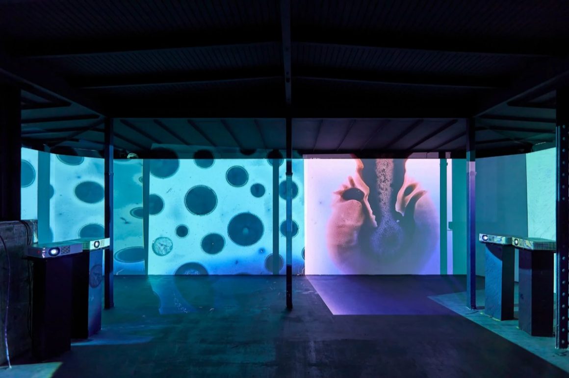 Installation lumineuse du Light Art Museum.