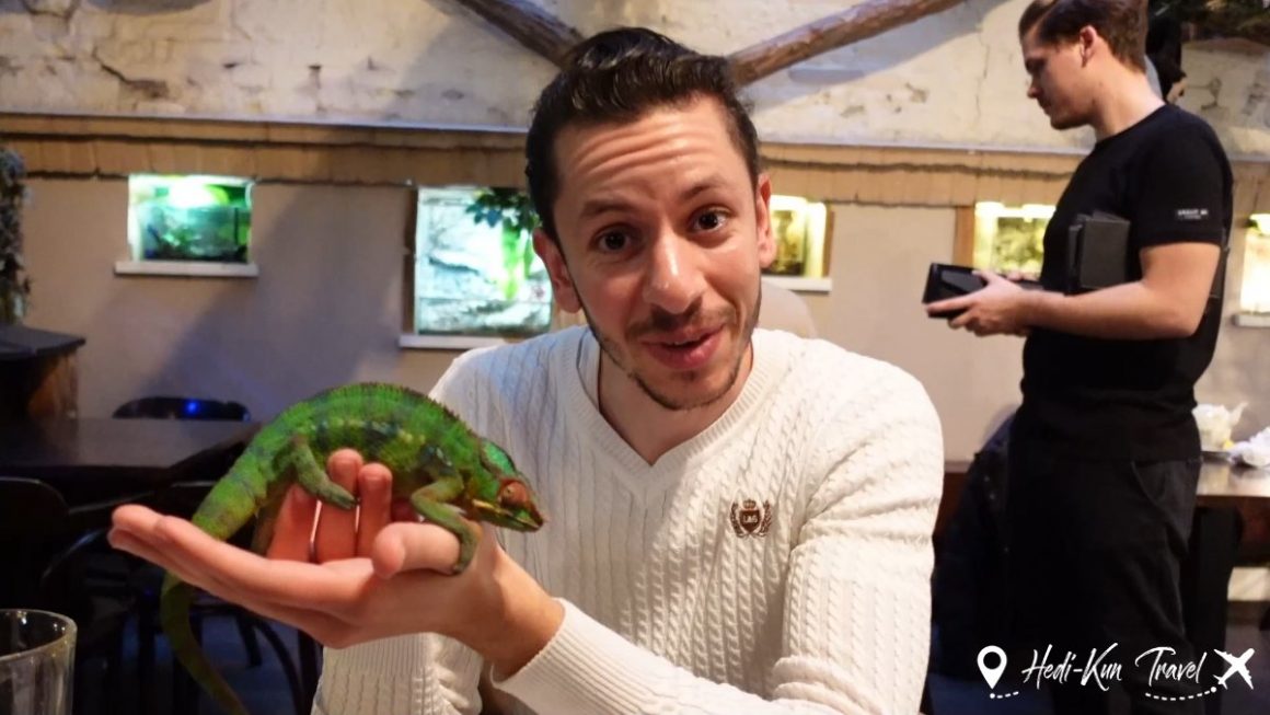 Un client interagissant avec un animal exotique au Zoo Café, un lieu insolite à Budapest.