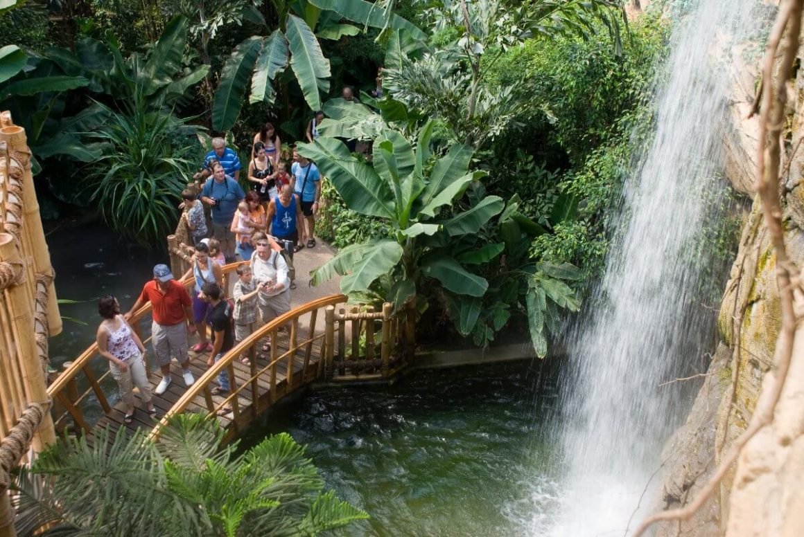 Cascade au zoo de Sóstó à Nyíregyháza, Hongrie.